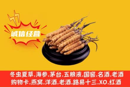 长春双阳区回收冬虫夏草